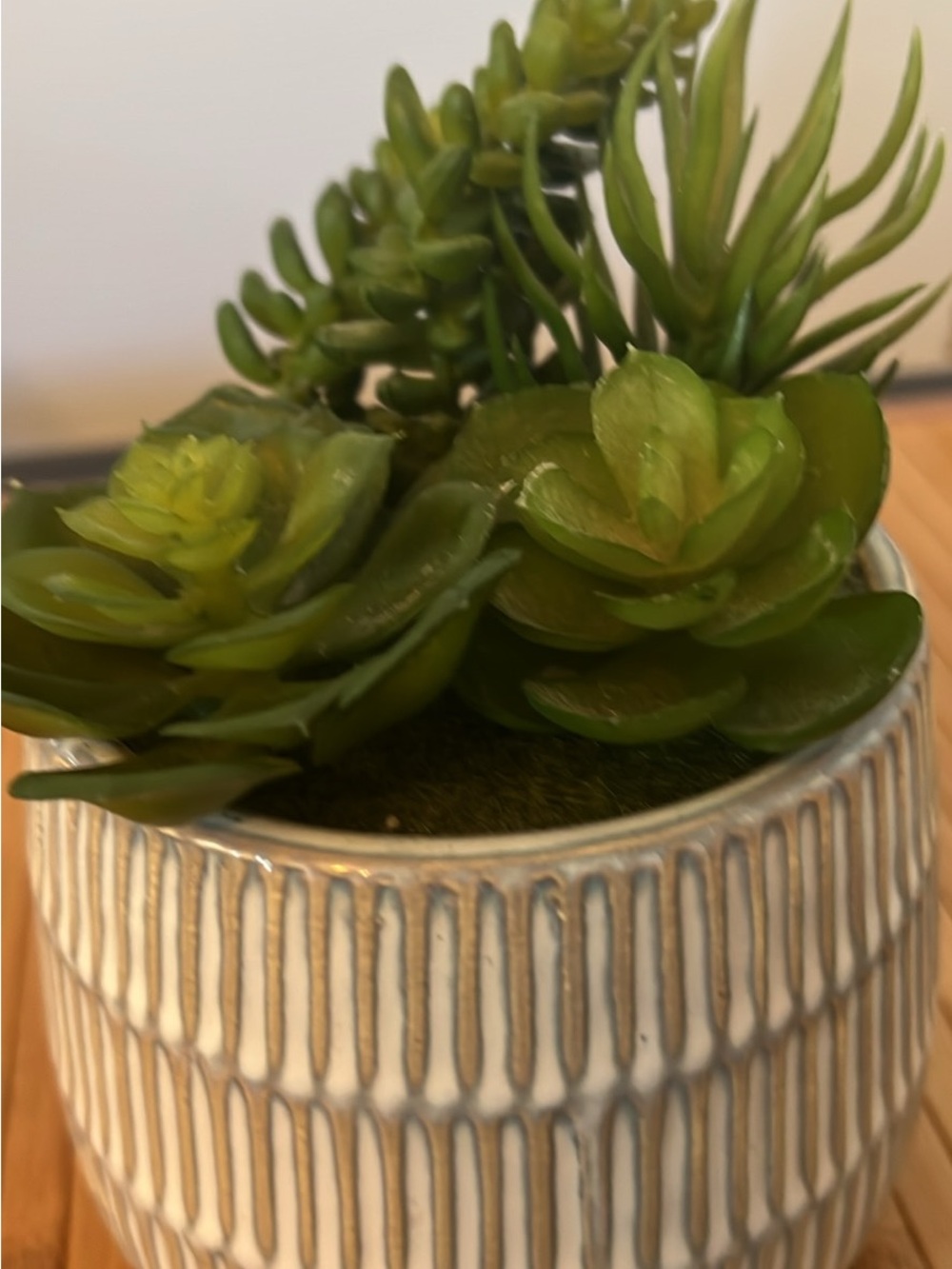 Faux Green Succulent Arrangement in Textured Ceramic Pot -